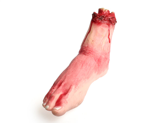 Illustration for article titled Bloody Stump Wrist Rests